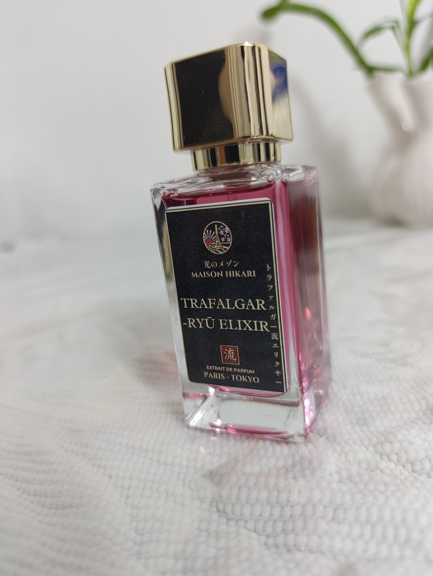 TRAFALGAR-RYÛ -Maison Hikari - Extrait 50ML