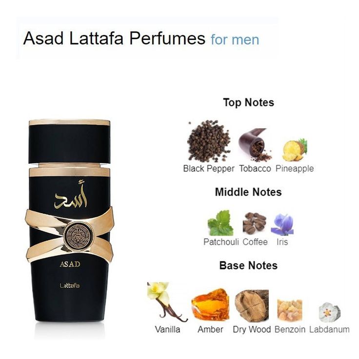 COFFRET ALPHA : Force & Prestige
3 Parfums Dévastateurs (Khamrah Dukhan, Asad, Jean Lowe Noir). 3x100ML.