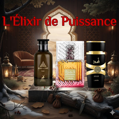 COFFRET ALPHA : Force & Prestige
3 Parfums Dévastateurs (Khamrah Dukhan, Asad, Jean Lowe Noir). 3x100ML.