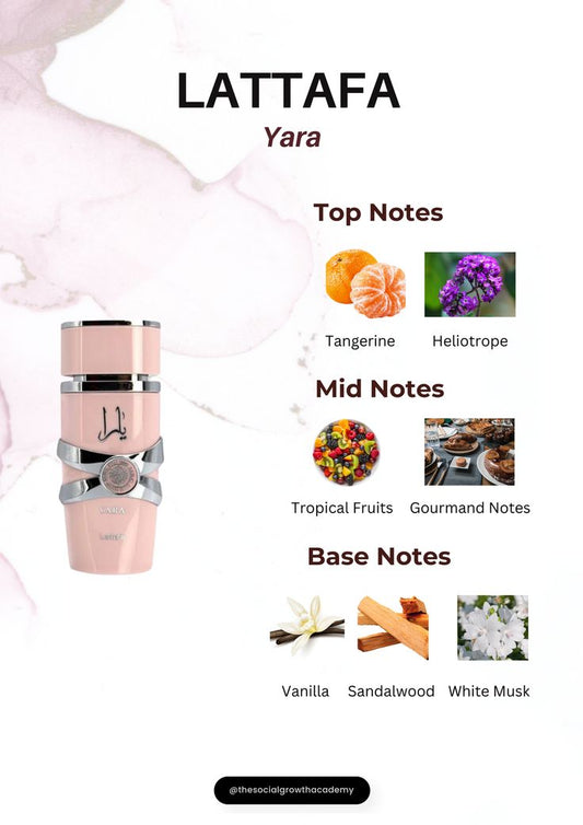 Pack Lattafa Tonton du Bled 600ML