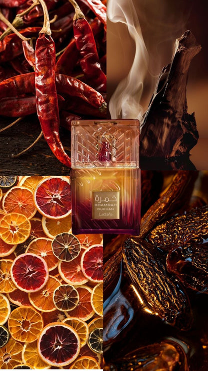 COFFRET ALPHA : Force & Prestige
3 Parfums Dévastateurs (Khamrah Dukhan, Asad, Jean Lowe Noir). 3x100ML.