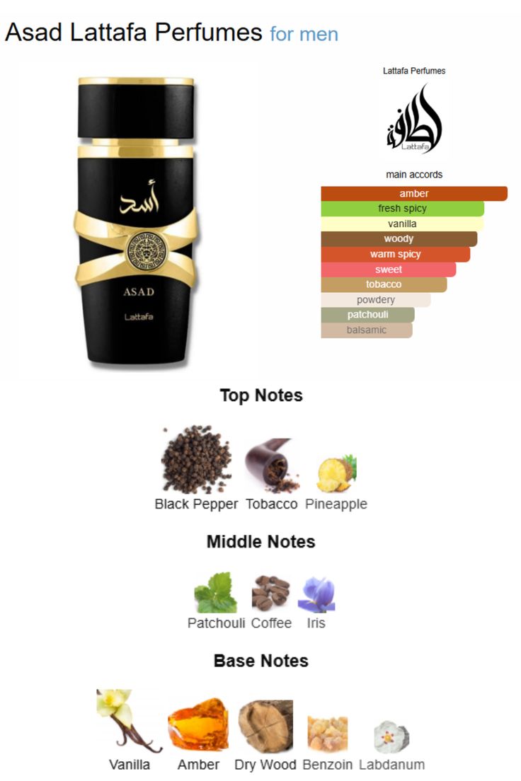 Pack Lattafa Tonton du Bled 600ML